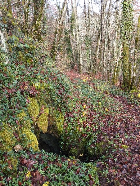 Entrée trou de la Montagne Sr Laurent (Mesmont)
Fichier manquant